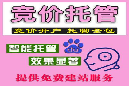 揭秘sem推广竞价托管的成功策略——多案例解析